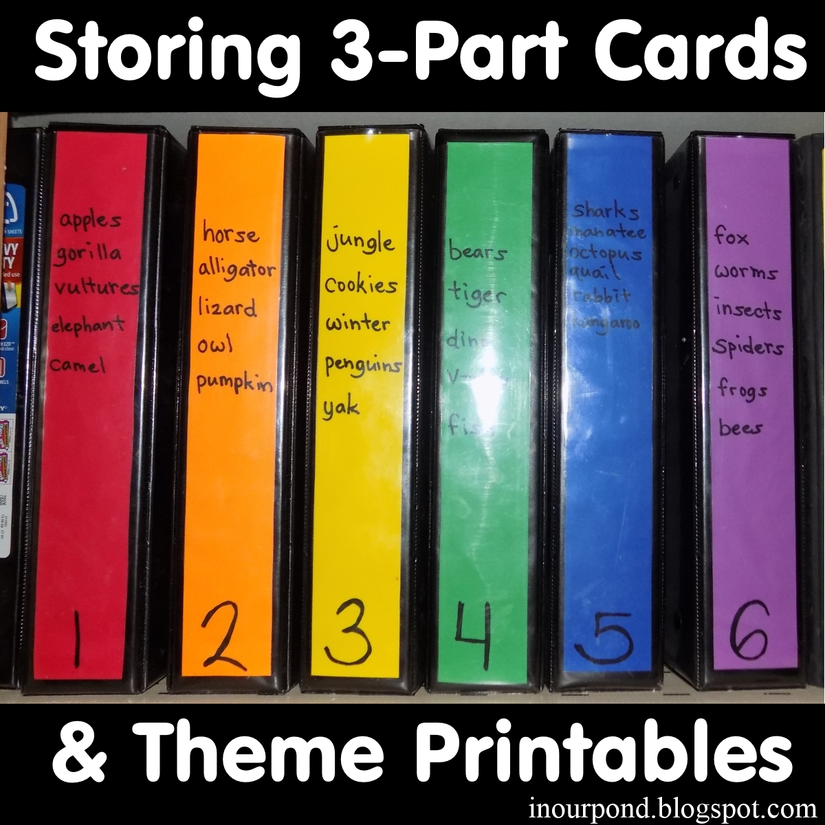 What Are Montessori 3 Part Cards