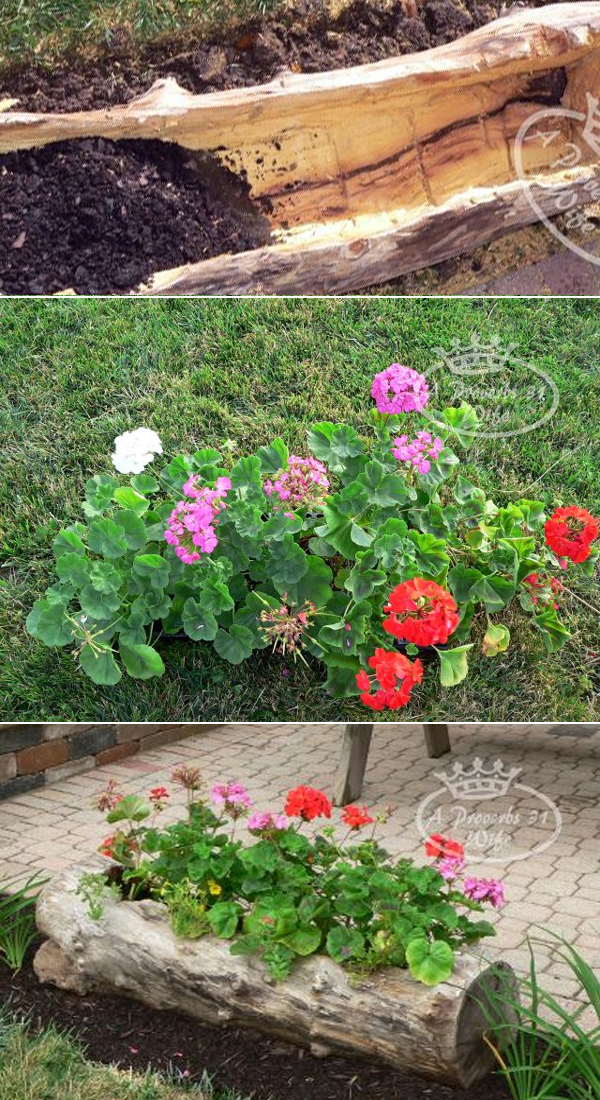 20 Cheap Upcycled Garden Containers Ideas (DIY Projects)
