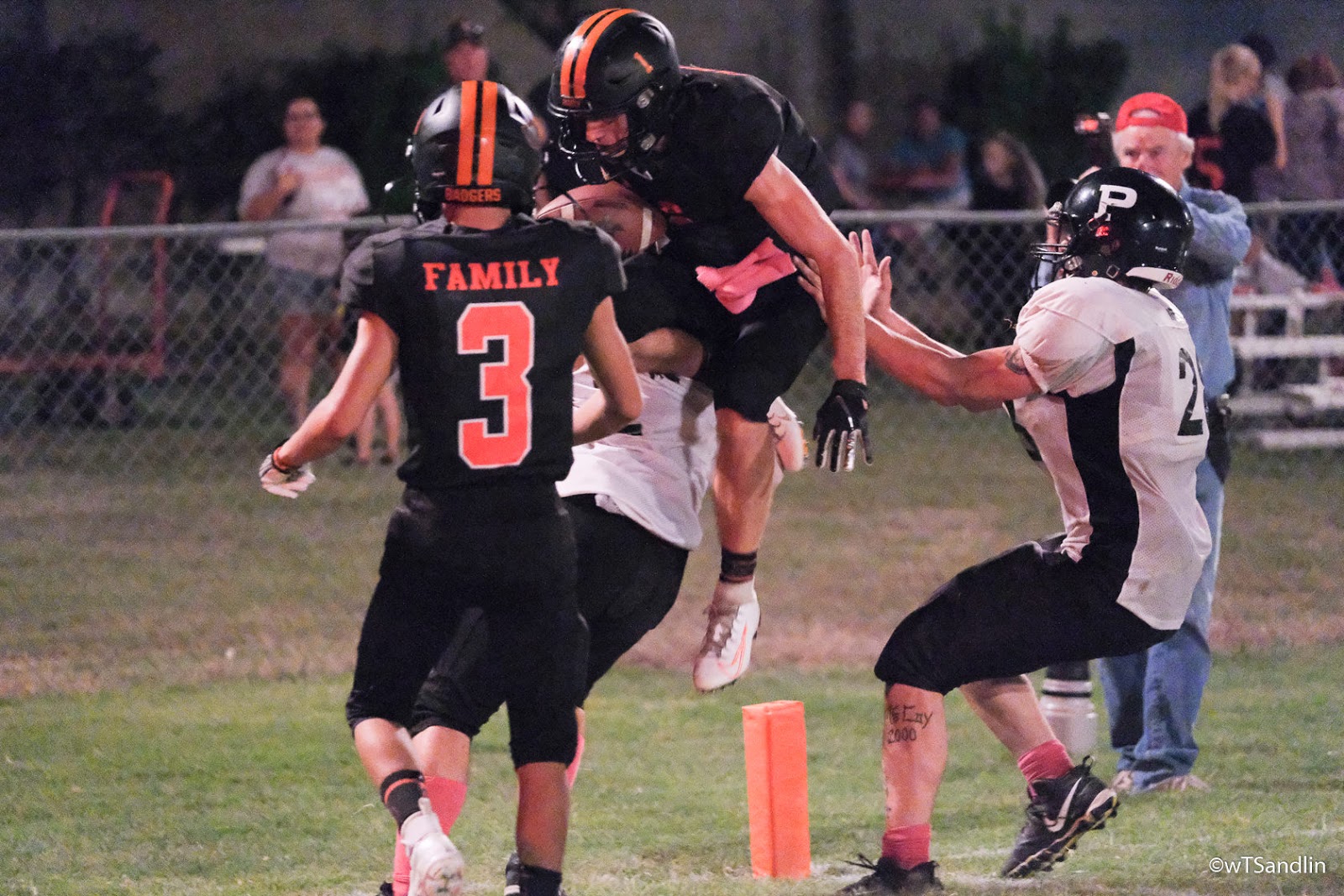 Buckholts Info Badger 2019