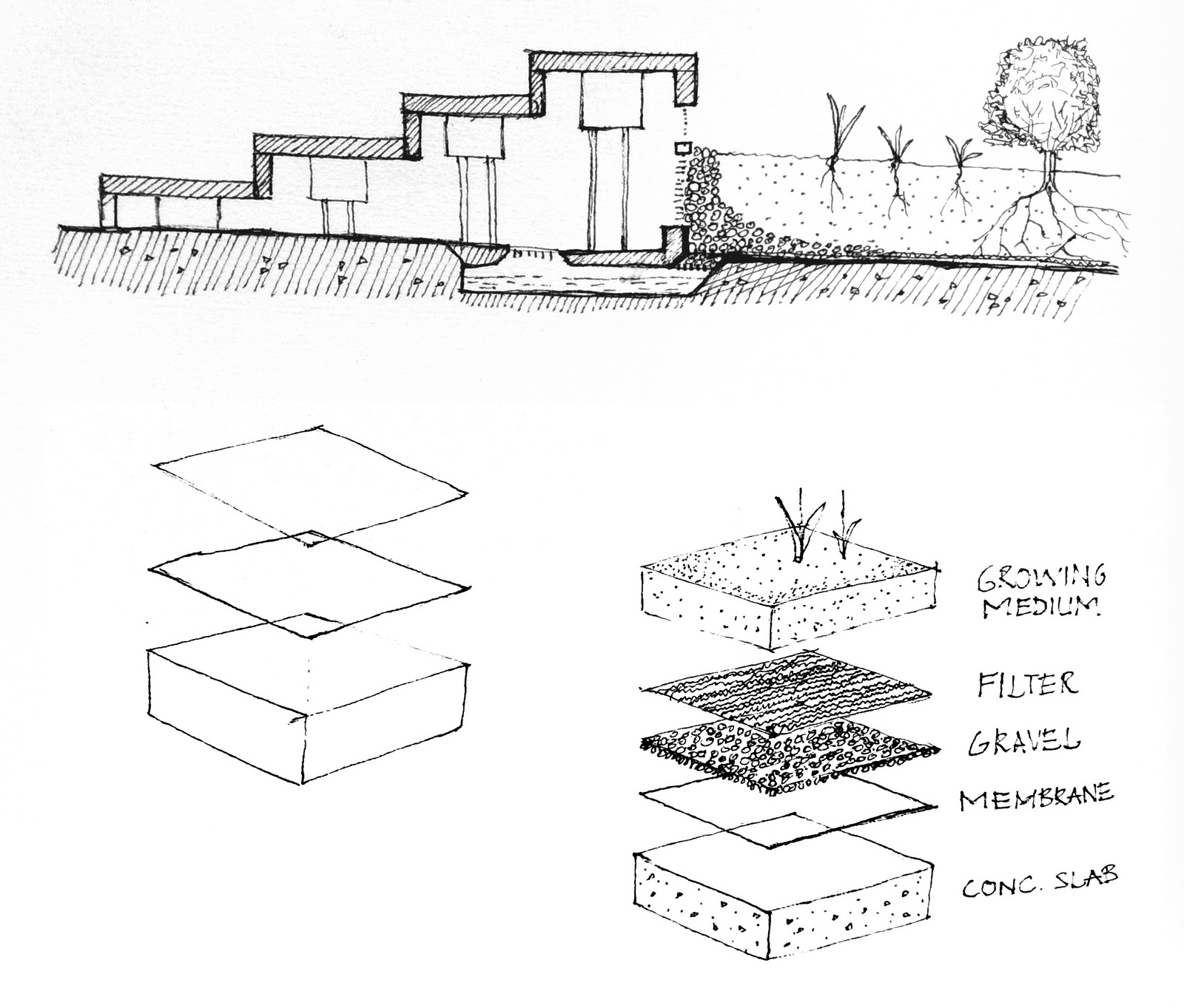 Architecture As Living Organism: Final design...