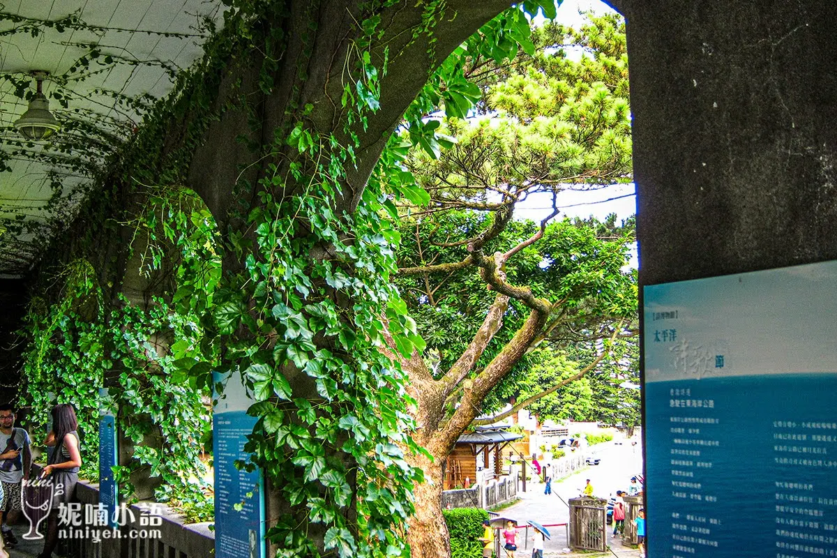 【花蓮市景點】松園別館。穿梭在百年松林的藝術人文之旅