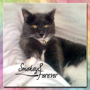 SMOKEY, FOREVER LOVED