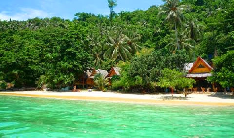 Phi Phi Relax Beach Resort   Tropical Bungalow Resort Phi Phi