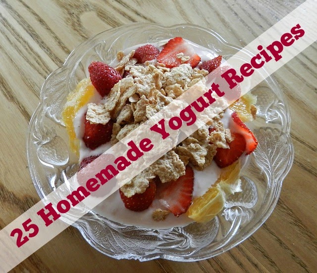 Homemade Yogurt Recipes | Becky Cooks Lightly