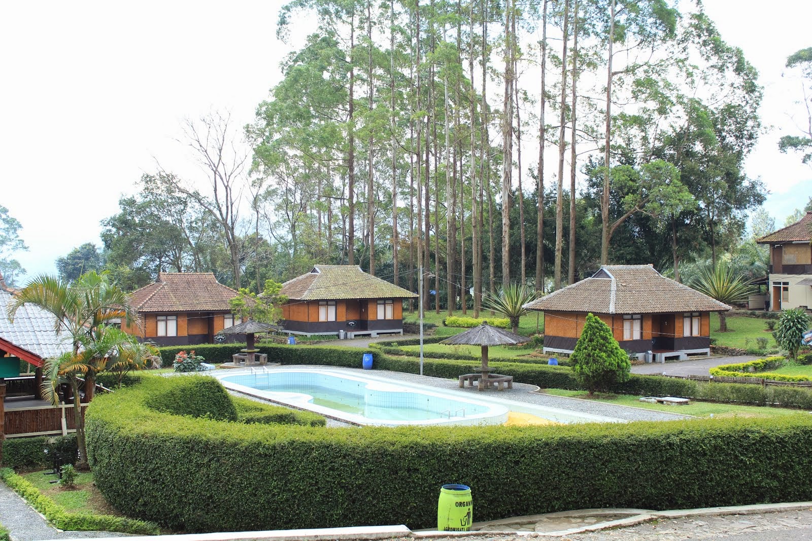 Agrotourism Mountain Mas The Beautiful Place To Drink a Cup of Hot Tea in western Java