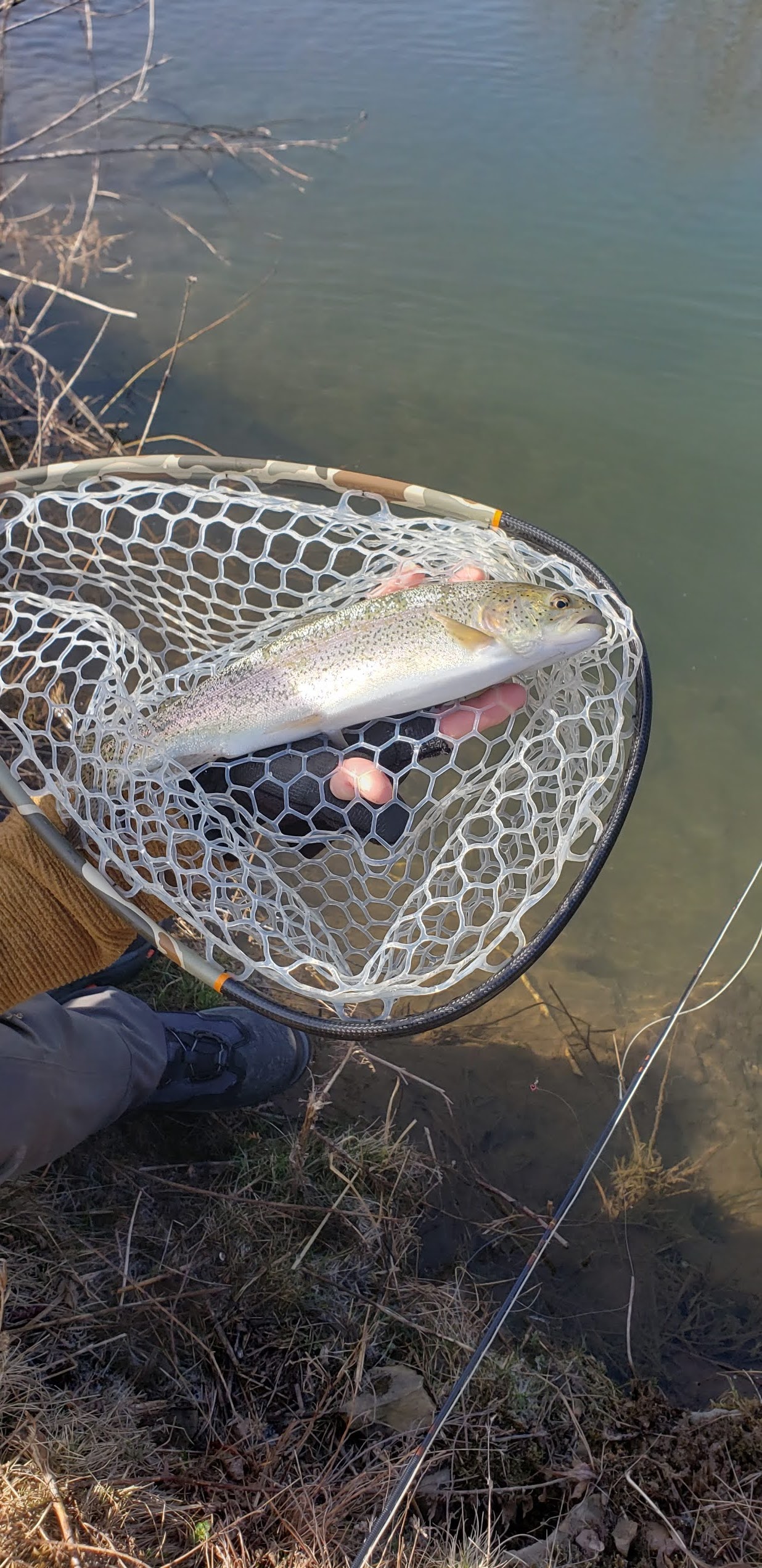 Mikey D Fishing Opening Day Fishing Report, 03 April Nature Wins