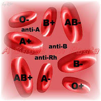 Grupos sanguíneos ABO e fator Rh