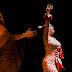 Conoce la agenda del Festival Flamenco y Punto online vol.2