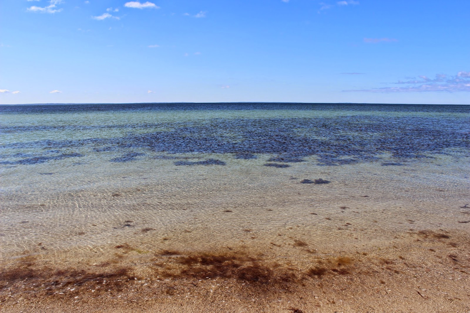 Tahoma Beadworks & Photography Side Trip to West Island, Fairhaven