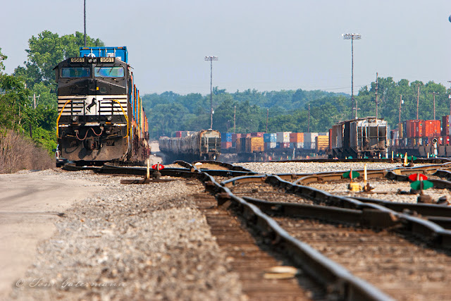 NS 9561 sits in Norfolk Southern's Luther Yard on the point of a stack train.