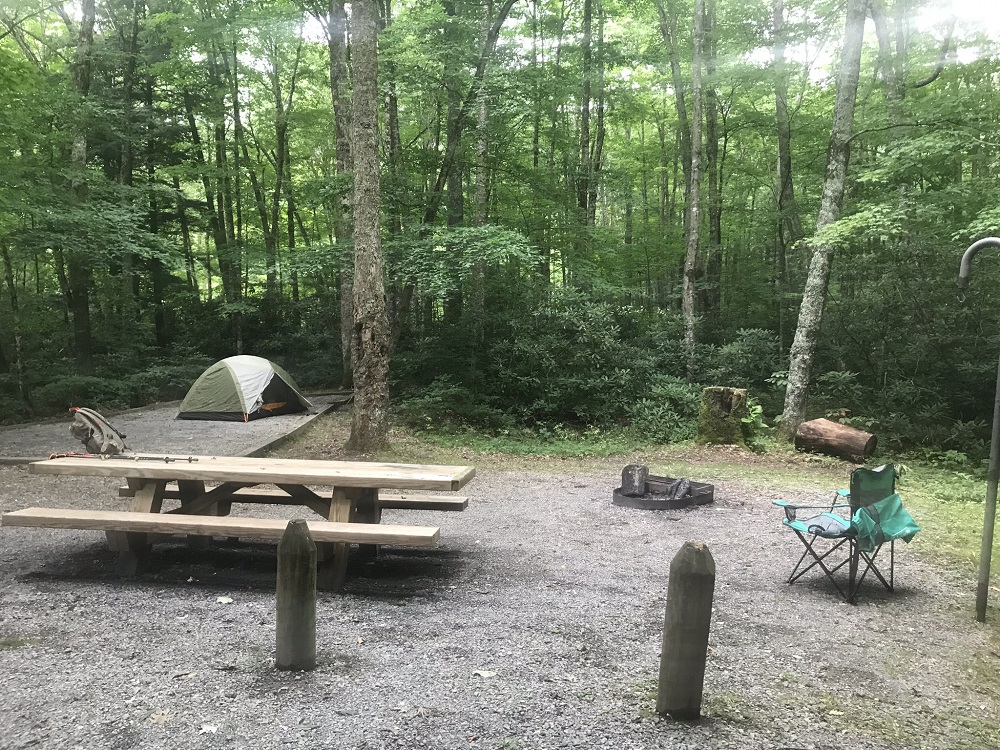 Wandering Virginia Tea Creek Trails, WV, July 26, 2019