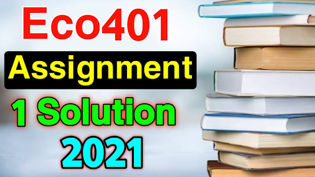 vu eco401 assignment 1 solution