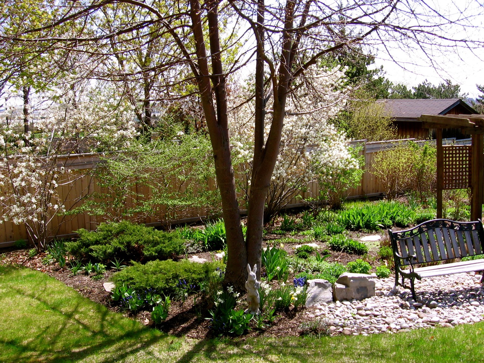 My garden essay for class 3 image