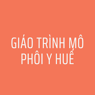 GI%25C3%2581O%2BTR%25C3%258CNH%2BHUY%25E1%25BA%25BET%2BH%25E1%25BB%258CC%2BTRUY%25E1%25BB%2580N%2BM%25C3%2581U%2B%25282%2529