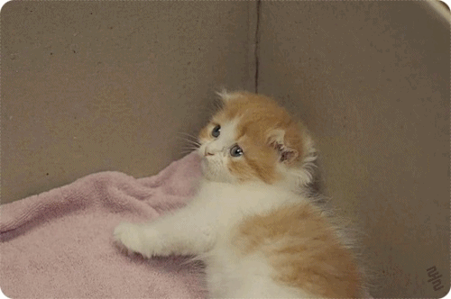 드...드라마 타인은 지옥이다 유...유일한 힐링장면이네요오오오ㅗㅇ 풉킼키키킼ㅋ킼ㅋㅋㅋㅋ킼.gif | 인스티즈