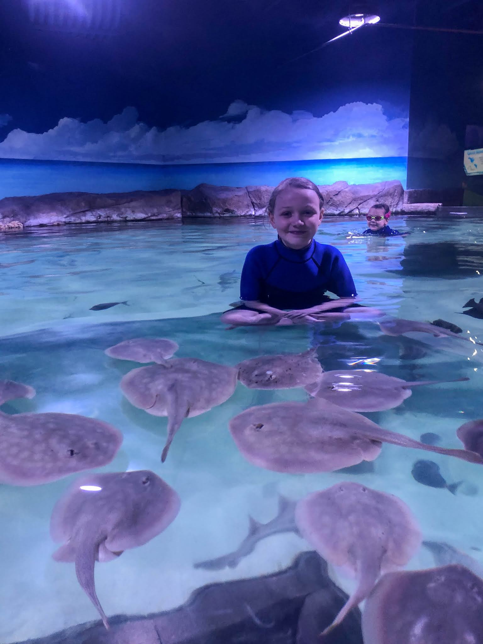 Little Hiccups Snorkeling with Stingrays at SeaQuest Littleton