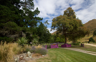 Lavender Farm