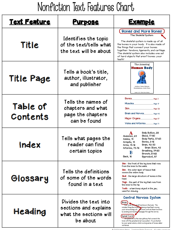 Text Features