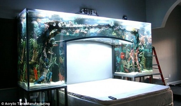 acrylic tank manufacturing aquarium headboard