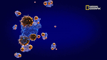 CORONAVIRUS.EL.ORIGEN.2020.DOCU-00828.png