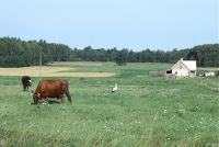 Lettonie-près Kuldiga