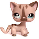 Littlest Pet Shop Large Playset Cat Shorthair (#792) Pet