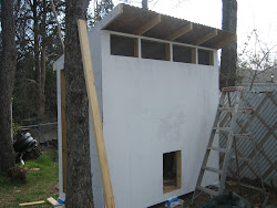 siding windows chicken coop texas roof particle board backyard dallas parents building