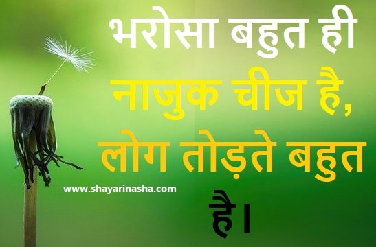 Best Emotional Quotes in Hindi