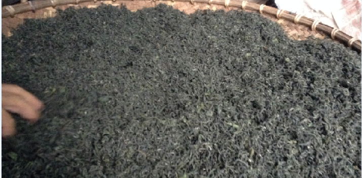 chè búp tân cương