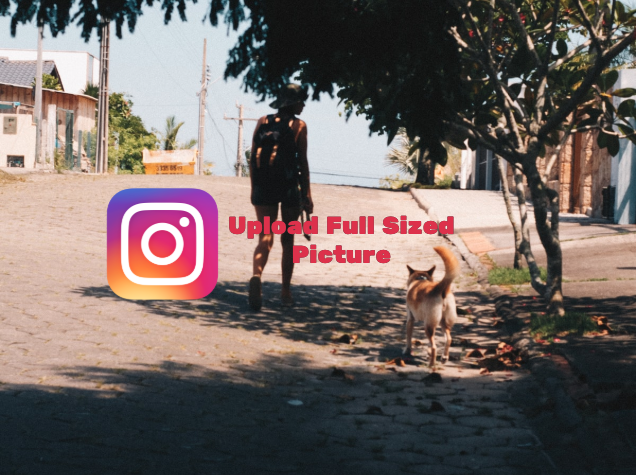 Upload Full Sized Picture to Instagram – Instagram Photos