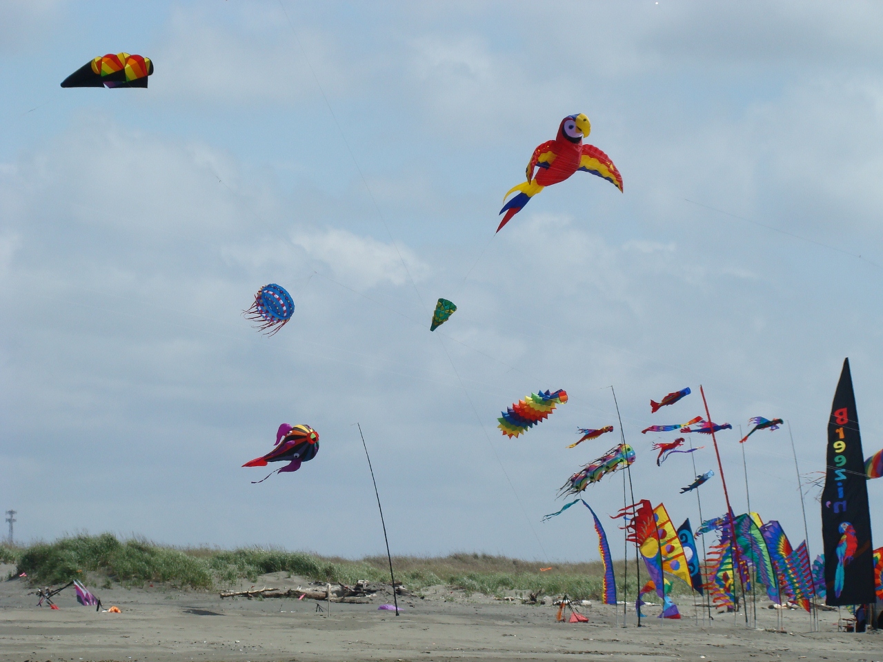 Ocean Shores Events Kite Festival 2012 on the Beaches of Ocean Shores, WA