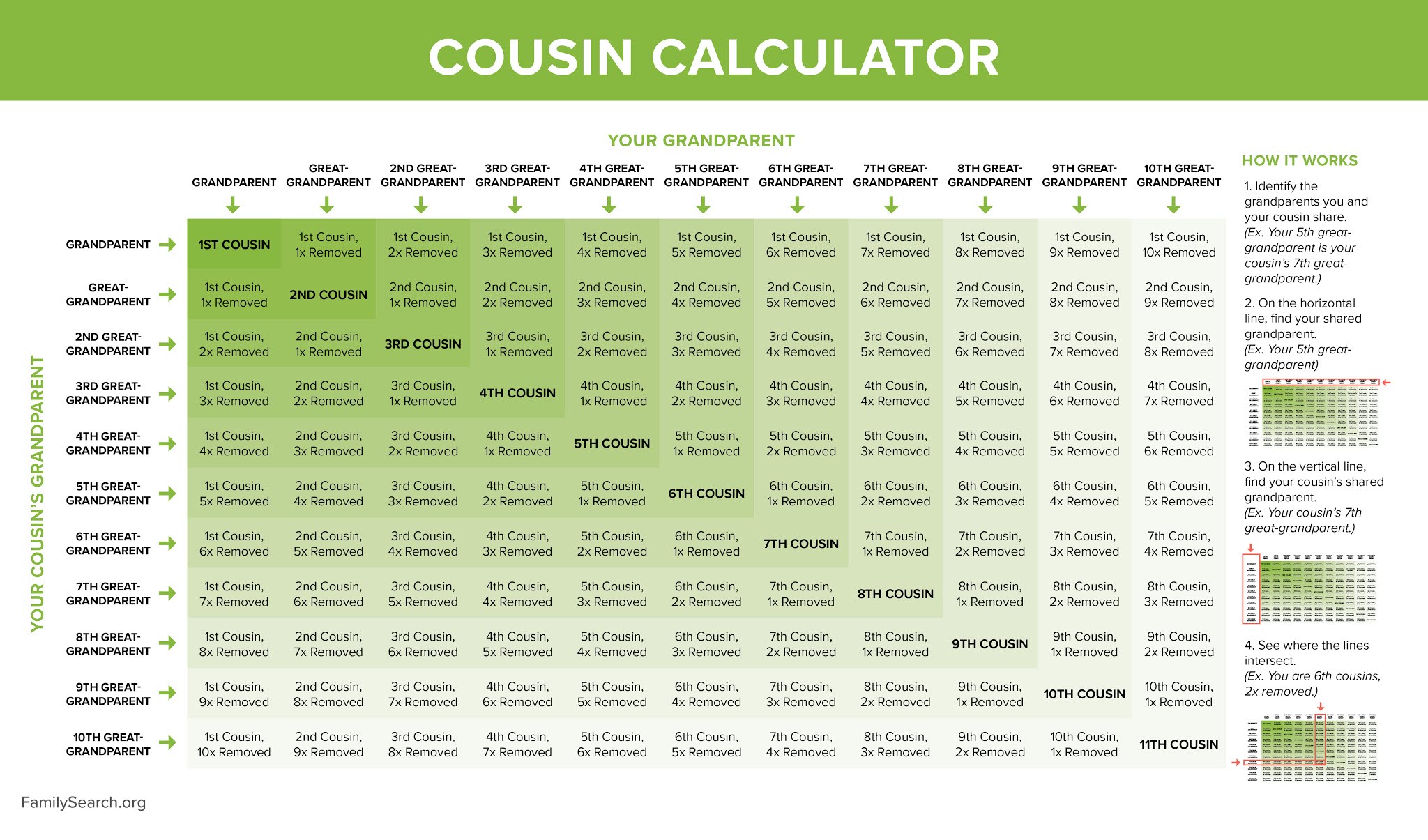 Understanding the Cousin Connection