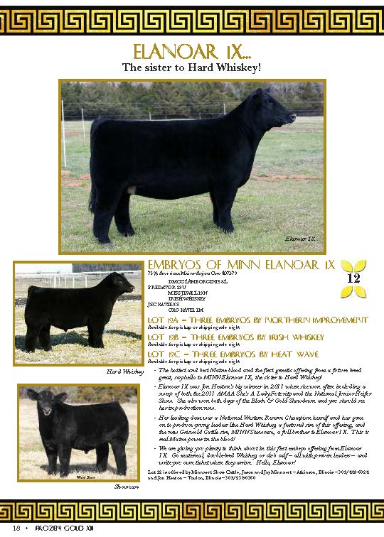 Lautner Farms Frozen Gold Offerings Sired by Heat Wave