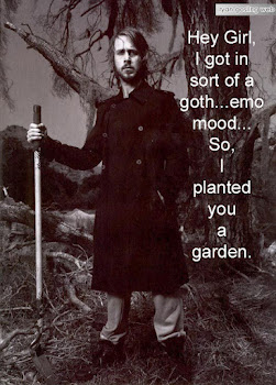 Planting A Garden?