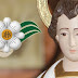 ORAÇÃO: SÃO TARCÍSIO