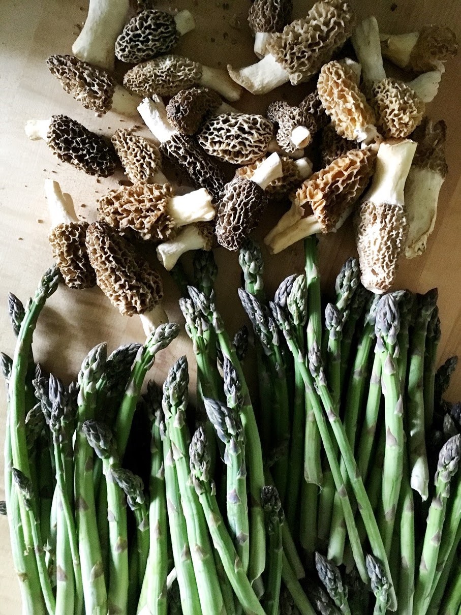 Fresh morel mushrooms and asparagus - springtime Midwestern cuisine | Bake Like a Buckeye
