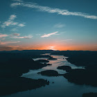 Photography of water beside forest