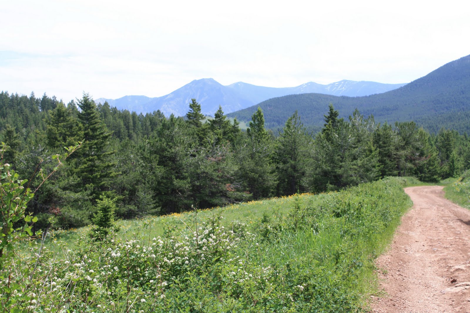 Living and Dyeing Under the Big Sky Picket Pin Road