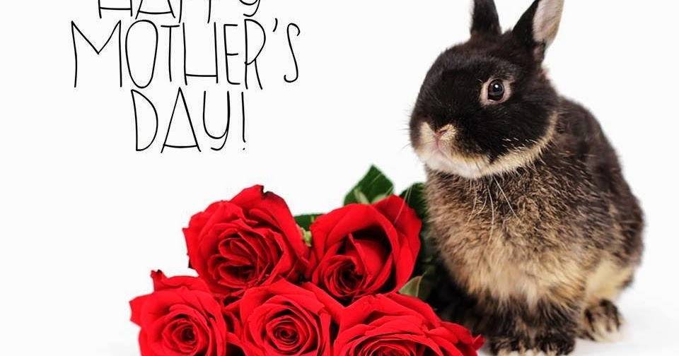 smART Class Dogs, Color Wheels, and a fun jewelry idea!!