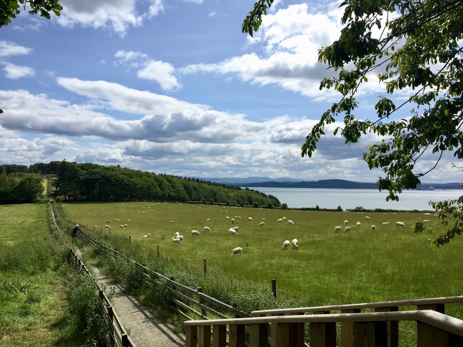 Fife Coastal Path Burntisland to Inverkeithing Hiking Scotland