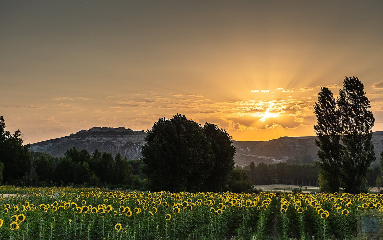 fuentemolinosblog: Por la mañana