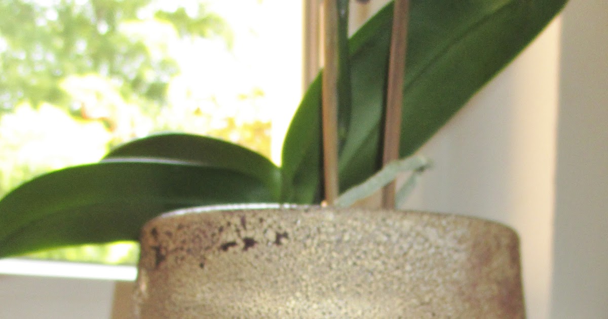 Pflaumen (Zwetschgen) - Mirabellen - Zimt Marmelade