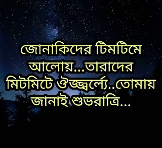 Good Night Bangla SMS (শুভরাত্রি মেসেজ) & Shayari