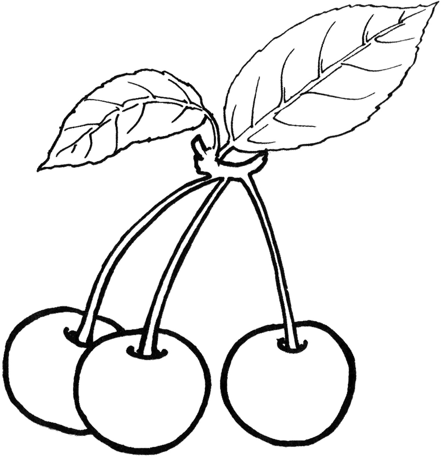 cherry-blossom-coloring-pages-az-coloring-pages-clipart-best