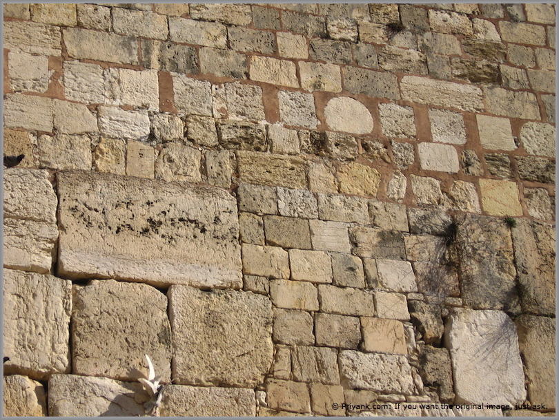 What God Said Tonight: Let it go