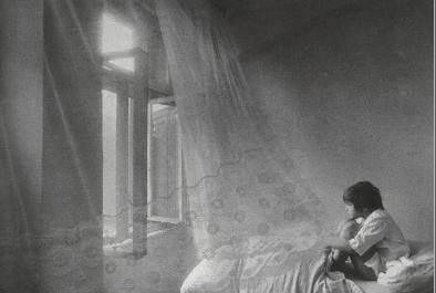 Tiupan Angin | Kumpulan Kata Mutiara