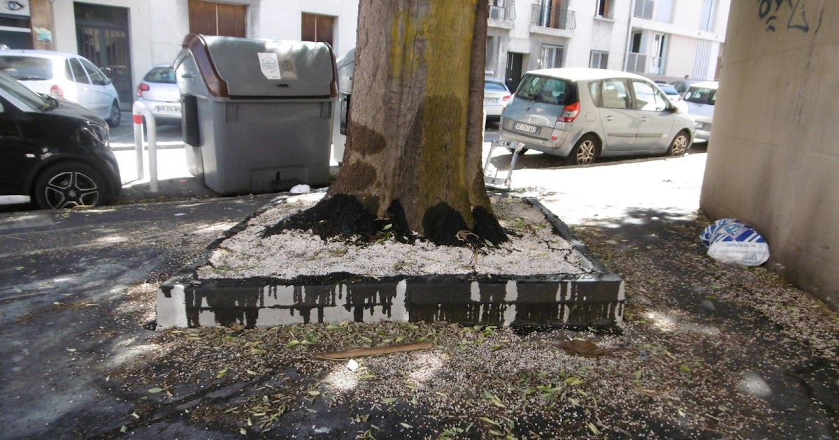 CIQ Saint Mauront entourage d'arbre rue Caussemille