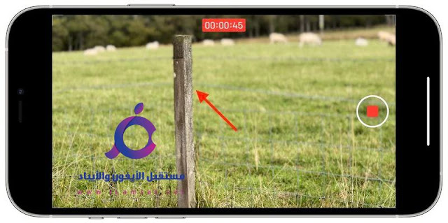 iPhone 13: كيفية تصوير مقاطع الفيديو في الوضع السينمائي