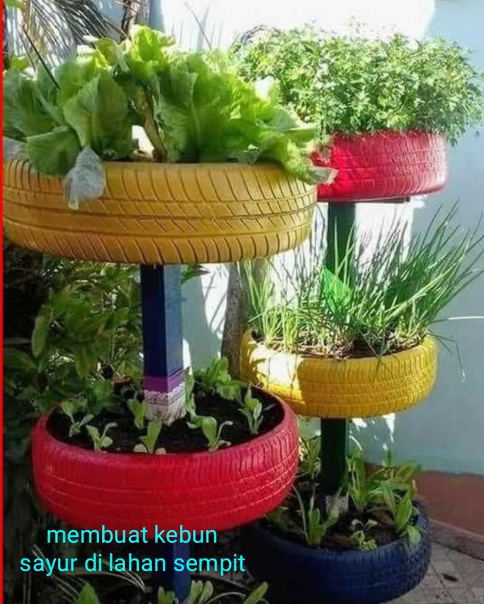 Kebun sayur di lahan sempit