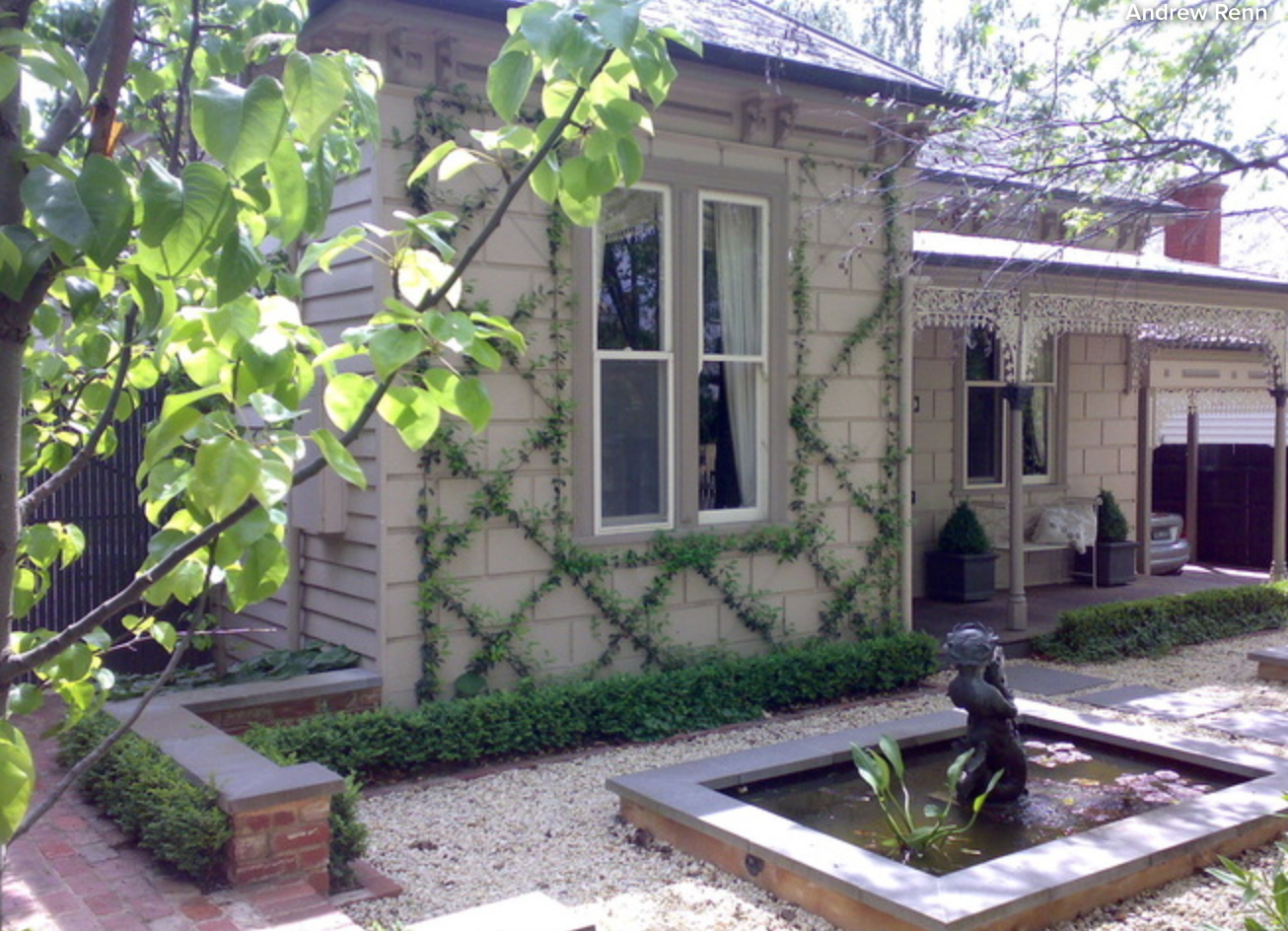 после покупки дачи. после покупки дачи. дачи. после покупки дачи. дачный участок.